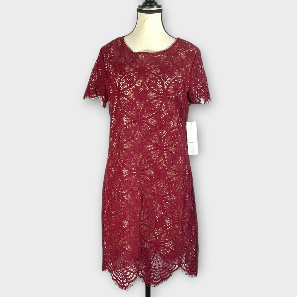 Cynthia Steffe Shift Dress 8 Moroccan Ruby Lace Cocktail Party NEW